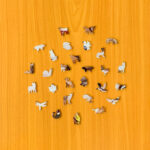 Uroczy pies - Drewniane puzzle - obrazek 3