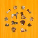 Ciekawskie szczenięta wyżłów - Drewniane puzzle 3