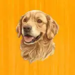Przyjazny golden retriever - Drewniane puzzle 2