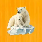 Rodzina niedźwiedzi polarnych - Drewniane puzzle 2